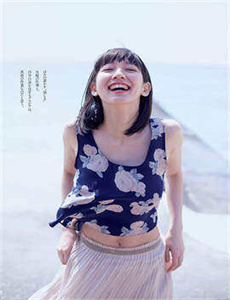 四只小野鸭